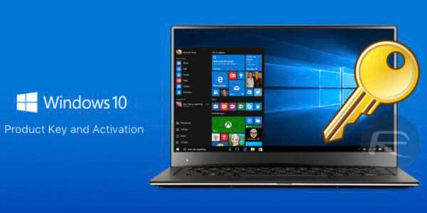 Chọn laptop cho nhân viên kinh doanh: các tiêu chí đừng bỏ qua 