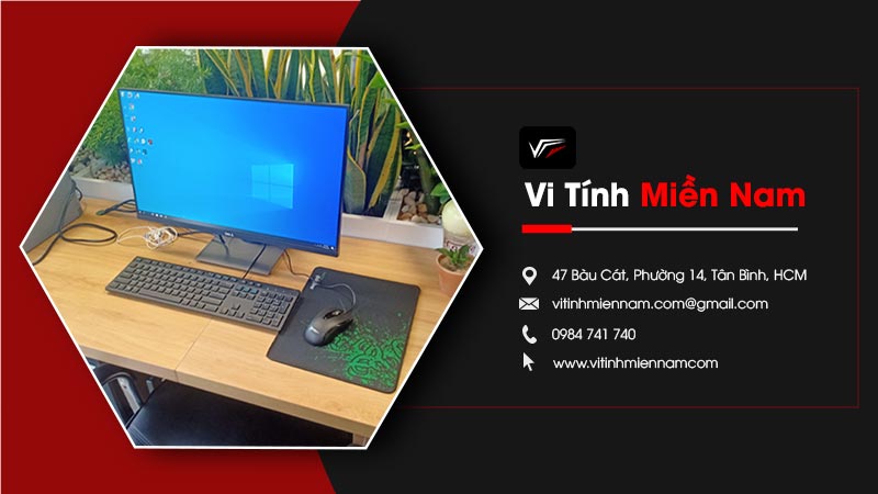 gioi-thieu-vi-tinh-mien-nam