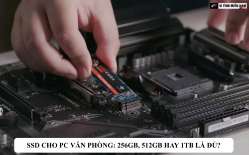 SSD cho PC văn phòng: 256GB, 512GB hay 1TB là đủ?